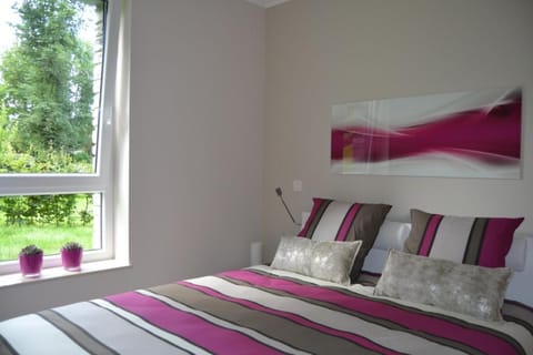 la terrasse du lac Apartment in Vielsalm