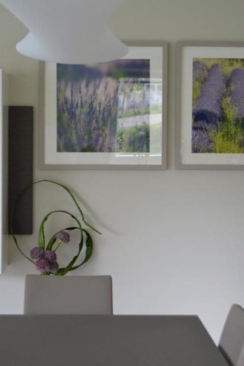 la terrasse du lac Apartment in Vielsalm