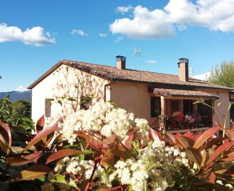 Property building, Spring, Garden