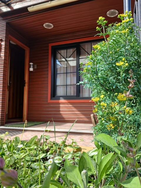 Day, Garden