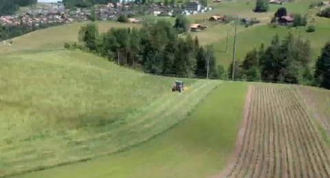 Pony Hof Apartment in Canton of Bern (Region)