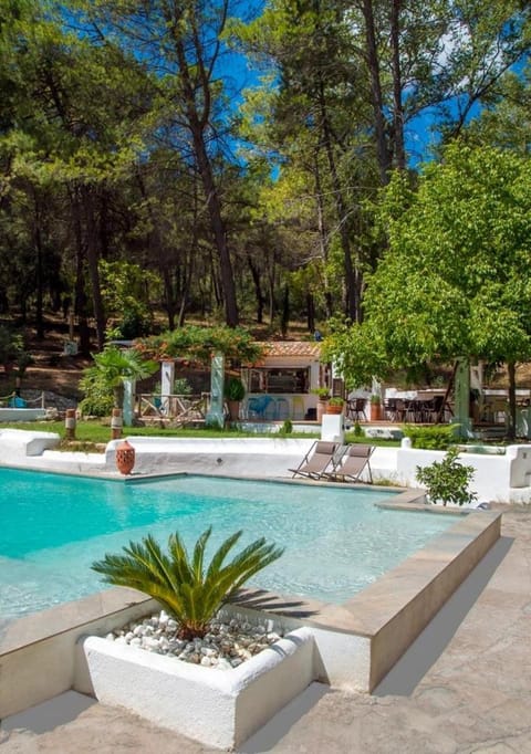 Garden, Swimming pool, sunbed