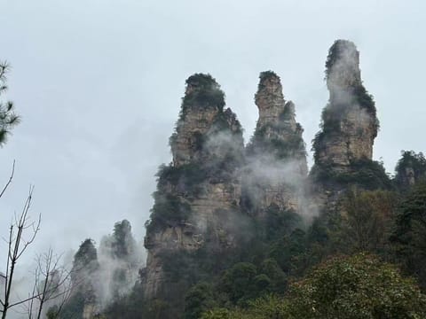 Natural landscape