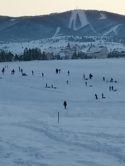 Apartman selakovic Apartment in Zlatibor