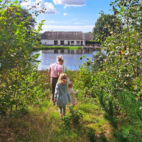 People, group of guests