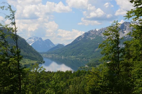 Steirerhof Apartment in Bad Aussee