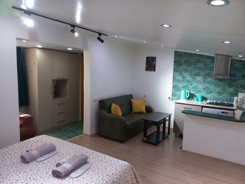 Kitchen or kitchenette, Living room, Photo of the whole room, Seating area