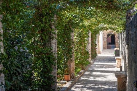 Property building, Day, Garden, Garden view