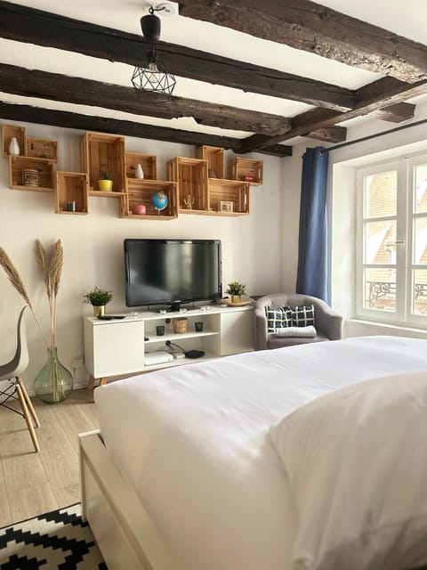 Central & Cosy Apartment Strasbourg City Center Apartment in Strasbourg