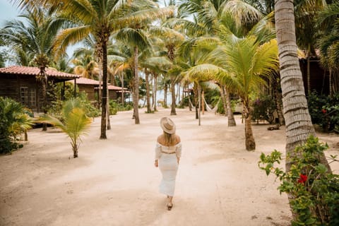People, Natural landscape, Garden, Beach, Beach