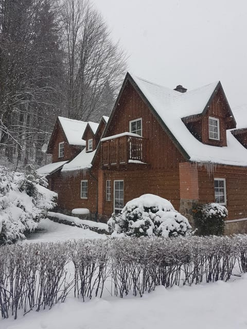 Neighbourhood, Winter, Garden, Balcony/Terrace