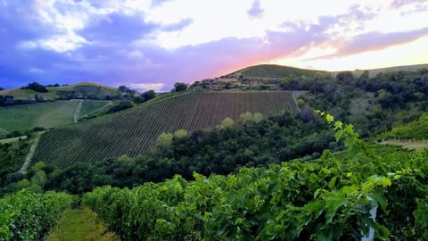 Natural landscape, Mountain view