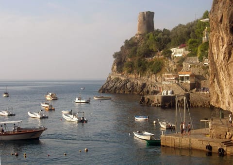 View (from property/room), Area and facilities