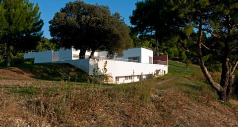 Villa Zagare Apartment in Province of Foggia