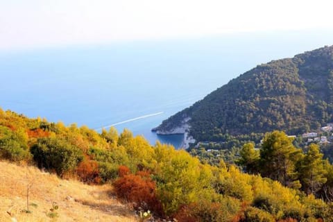 Villa Zagare Apartment in Province of Foggia