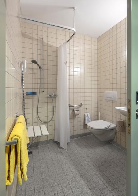 Shower, Toilet, Bathroom, Decorative detail