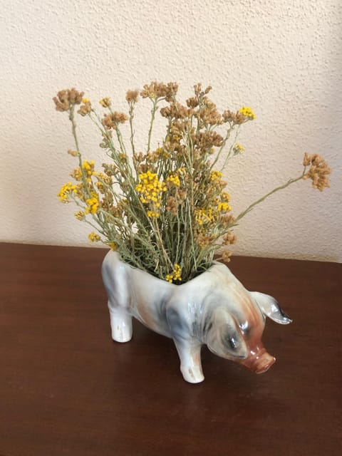 L’ Angolo degli Ortaggi Bed and Breakfast in Sardinia