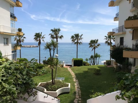Garden, Garden, Beach