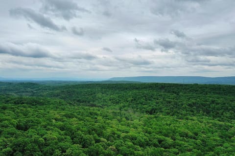 Nearby landmark, Day, Natural landscape, Bird's eye view