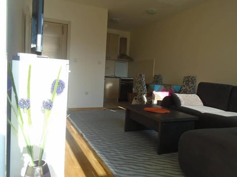 Fantastic brand new apartment Apartment in Podgorica