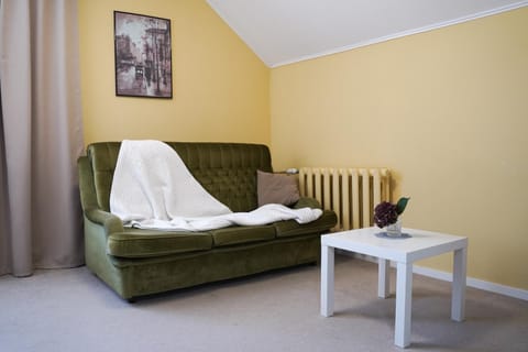 Apartamentai Birštono centre su židiniu Apartment in Lithuania