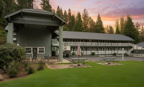 Property building, Garden, Parking