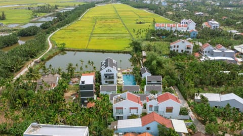 Natural landscape, Bird's eye view