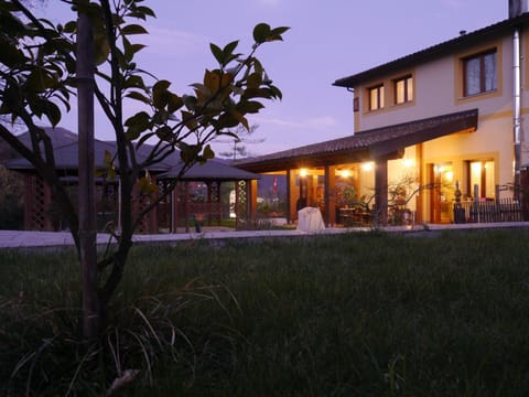 Property building, Night, Garden