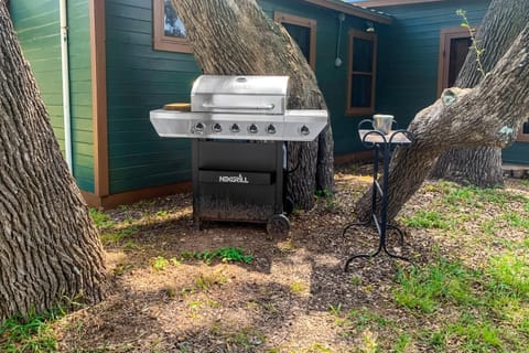 Seahorse Cove House in Lake Buchanan