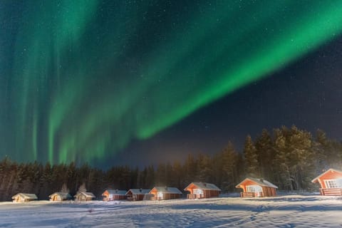 Night, Natural landscape, Winter, Garden, View (from property/room), On site