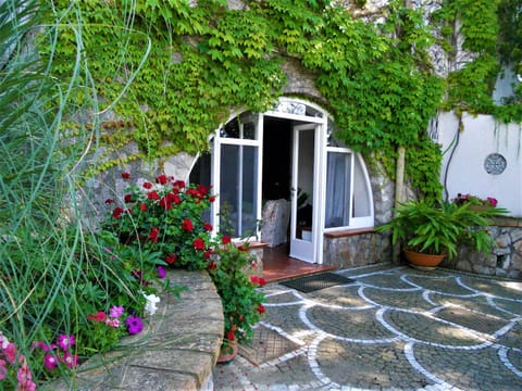 Facade/entrance, Garden, Garden view