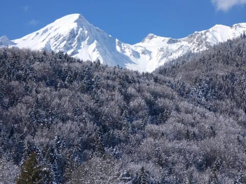 Ferienwohnung Andrea Apartment in Salzburgerland