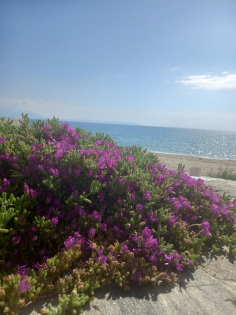 Rhapsody house Bed and Breakfast in Decentralized Administration of Macedonia and Thrace