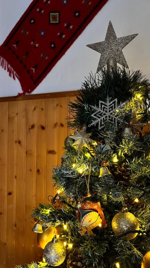 Hotel Acropolis Metsovo Hotel in North Macedonia