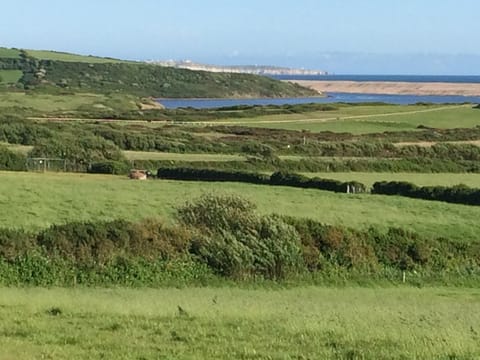 Tidmoor Farm Vegetarian B&B Bed and Breakfast in Weymouth