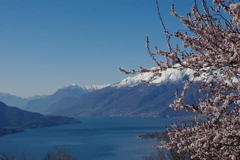 Natural landscape