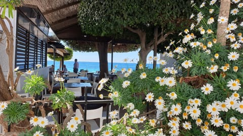 Patio, Restaurant/places to eat, Off site, Mountain view