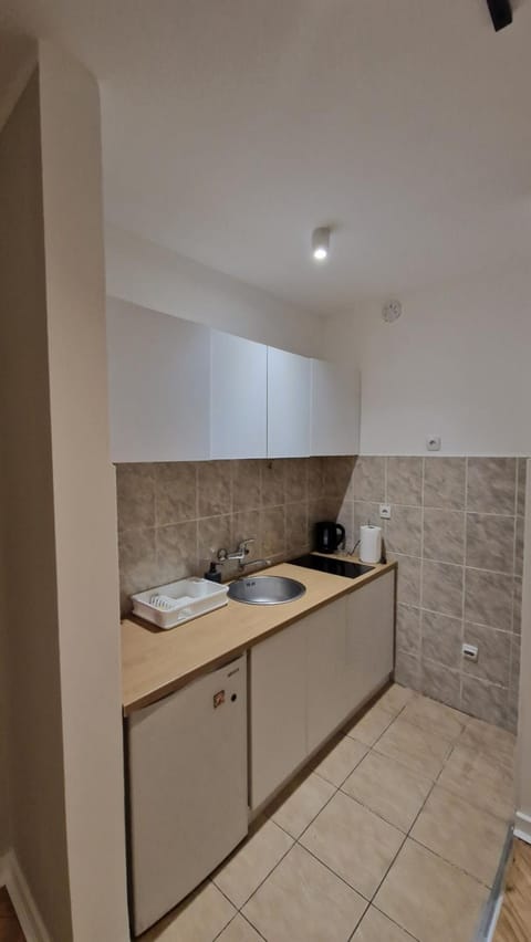 King apartment Apartment in Novi Sad