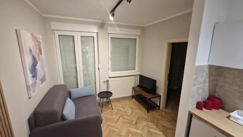 King apartment Apartment in Novi Sad