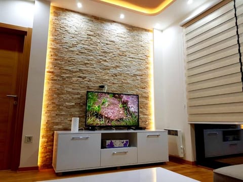 Spring, Night, Winter, Summer, Living room, Other, Photo of the whole room, Autumn, On site