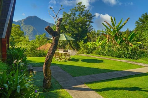Day, Natural landscape, Garden, Garden view, Mountain view