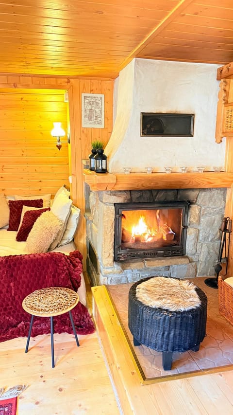 Property building, Communal lounge/ TV room, Bed, Library, TV and multimedia, Living room, Other, Other, Photo of the whole room, Decorative detail, Seating area, Evening entertainment, Evening entertainment, Animals, Pets, Pets, Entertainment, Family, fireplace, fireplace, furniture, heating
