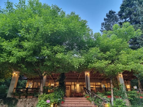 Guesthouse Alberti Llogara Bed and Breakfast in Vlorë County, Albania