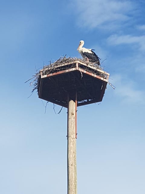 Nearby landmark