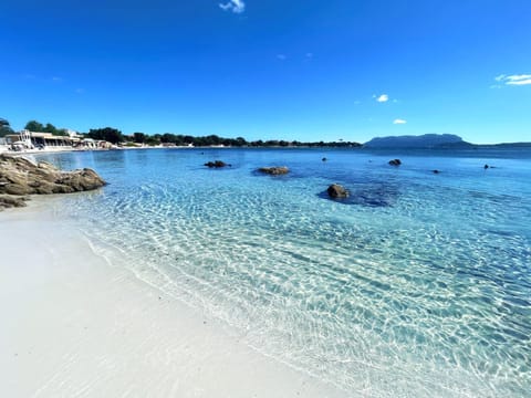 Nearby landmark, Natural landscape, Beach