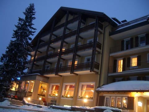 Hotel Alpina Parpan Hotel in Canton of Grisons