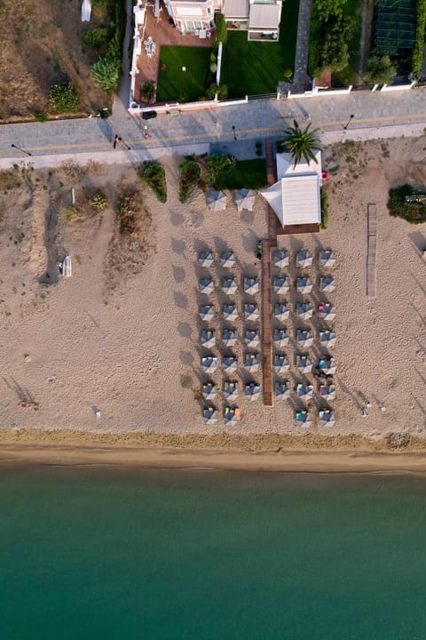 Natural landscape, Bird's eye view, Lounge or bar, Beach