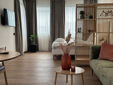 Bed, TV and multimedia, Living room, Photo of the whole room, Seating area, Bedroom, furniture, storage