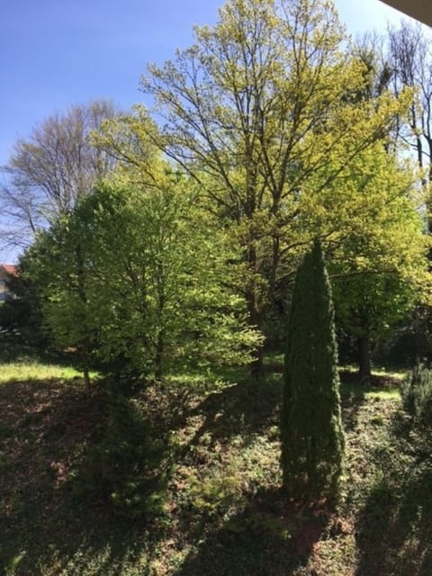 City Appartement Apartment in Bad Reichenhall