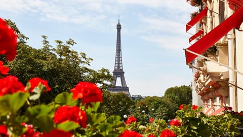 City view, Landmark view